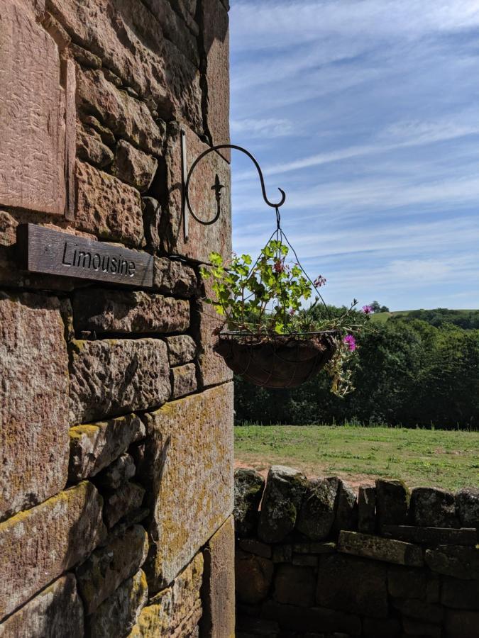 Bed and Breakfast La Douce France Collonges-la-Rouge Esterno foto