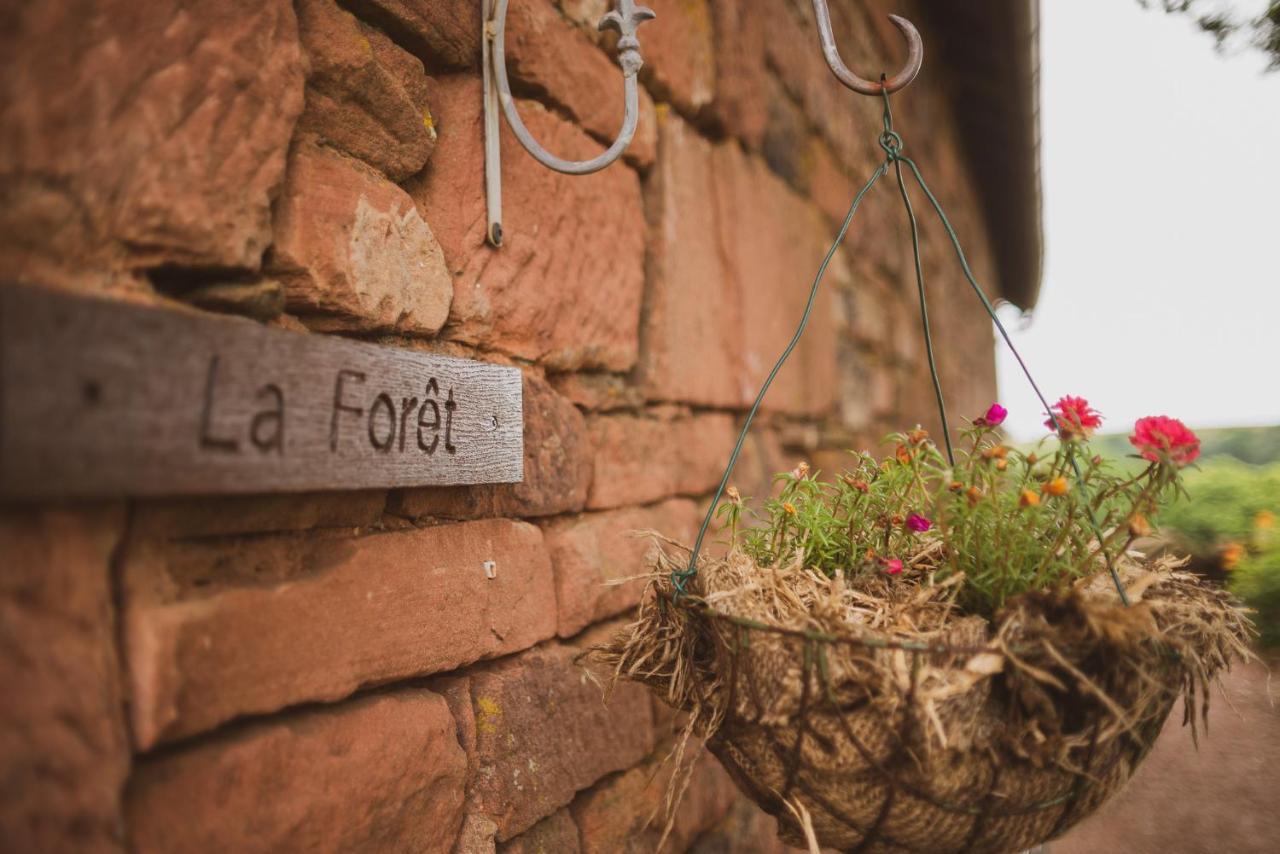 Bed and Breakfast La Douce France Collonges-la-Rouge Camera foto